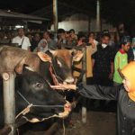 Gubernur Jatim Khofifah Indar Parawansa saat melakukan sidak Rumah Pemotongan Hewan (RPH) Pegirian Surabaya
