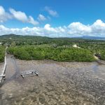 Area di Kelurahan Lalowaru Kabupaten Konawe Selatan, yang akan dilaksanakan rehabitilasi mangrove. Sumber foto : Istimewa