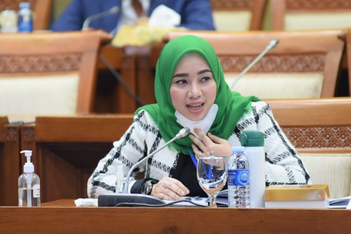 Anggota Komisi XII DPR RI FPKB, Ratna Juwita Sari