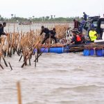 Pembongkaran pagar laut di pesisir Tangerang yang dilakukan oleh TNI AL dan KKP.