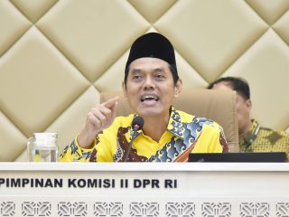 Soal Putusan MK, Zulfikar Arse: Saatnya Redesain Sistem Politik Nasional Daerah