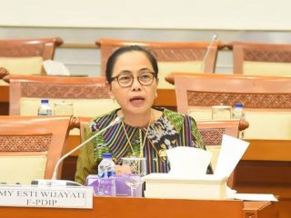 Wakil Ketua Komisi X DPR RI, MY Esti Wijayanti